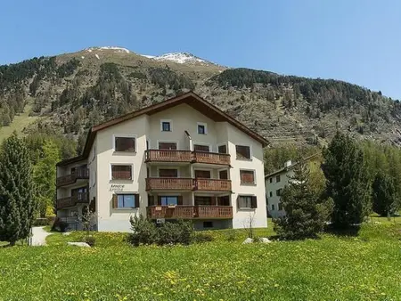 Chesa Azalea 2, Appartement 3 personnes à Pontresina - Photo 13