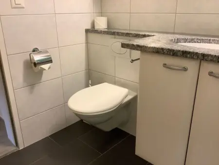 Chesa Azalea 2, Appartement 3 personnes à Pontresina - Photo 22