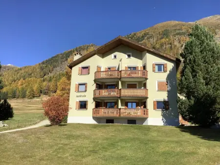 Chesa Azalea 2, Appartement 3 personnes à Pontresina - Photo 40