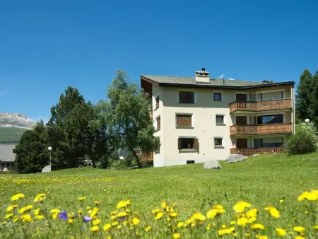 Chesa Arnica Whg 3, Appartement 2 personnes à Pontresina - Photo 1