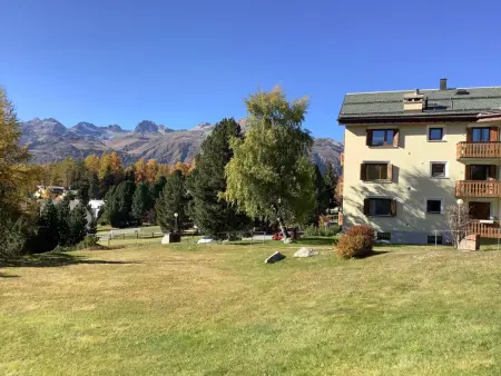Chesa Arnica Whg 3, Appartement 2 personnes à Pontresina - Photo 31