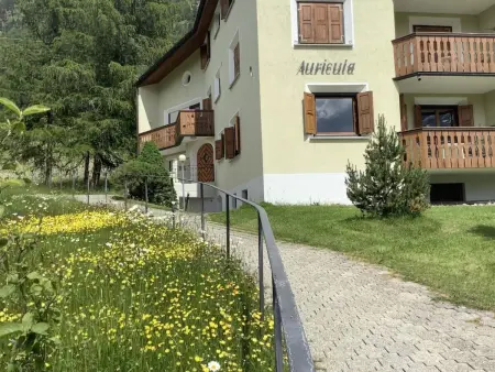 Chesa Auricula 4 Aden / ÖV inclusive, Appartement 4 personnes à Pontresina - Photo 16