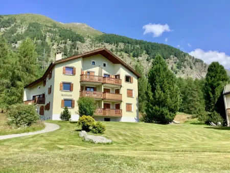 Chesa Auricula 4 Aden / ÖV inclusive, Appartement 4 personnes à Pontresina - Photo 31