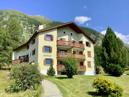 Chesa Auricula 4 Aden / ÖV inclusive, Appartement 4 personnes à Pontresina - Photo 32