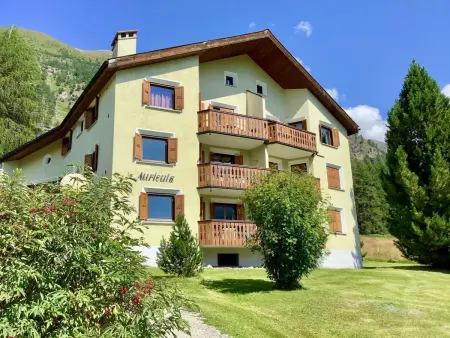 Chesa Auricula 4 Aden / ÖV inclusive, Appartement 4 personnes à Pontresina - Photo 33