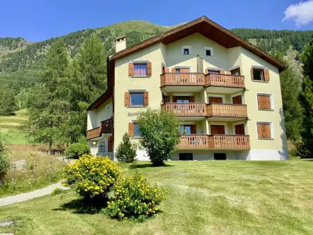 Chesa Auricula 4 Aden / ÖV inclusive, Appartement 4 personnes à Pontresina - Photo 34