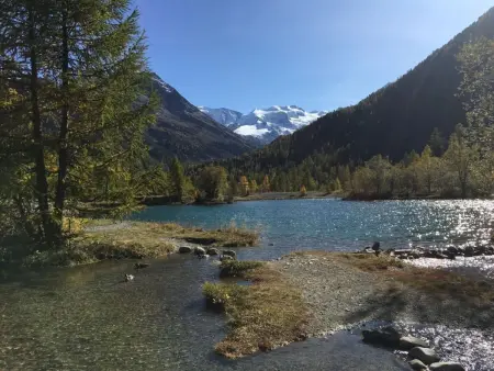 Chesa Bohner, Bergbahnen und ÖV im Sommer inkl. - Photo 14