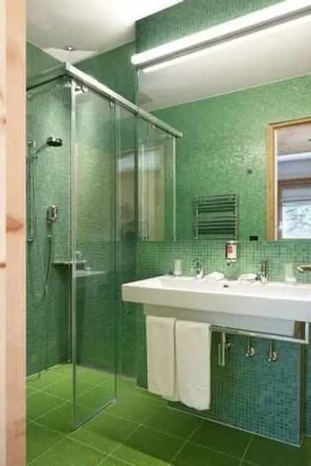 Chesa Plattner, Appartement 2 personnes à Pontresina - Photo 3