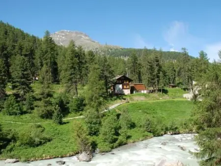Chesa la Furia  1 Zi Whg 31m2, Appartement 2 personnes à Pontresina - Photo 14