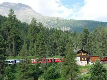 Chesa la Furia 3- Bergbahnen inklusiv im Sommer, Appartement 2 personnes à Pontresina - Photo 12