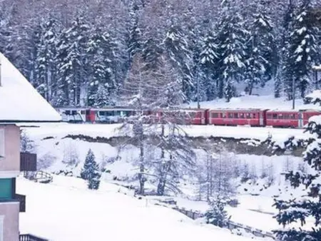 Chesa la Furia 3- Bergbahnen inklusiv im Sommer, Appartement 2 personnes à Pontresina - Photo 16