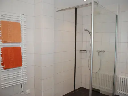 Chesa la Furia WHG 24, Appartement 4 personnes à Pontresina - Photo 8