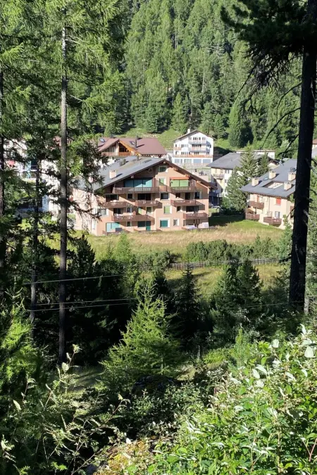 Wohnung Curtins, Appartement 4 personnes à Pontresina - Photo 1