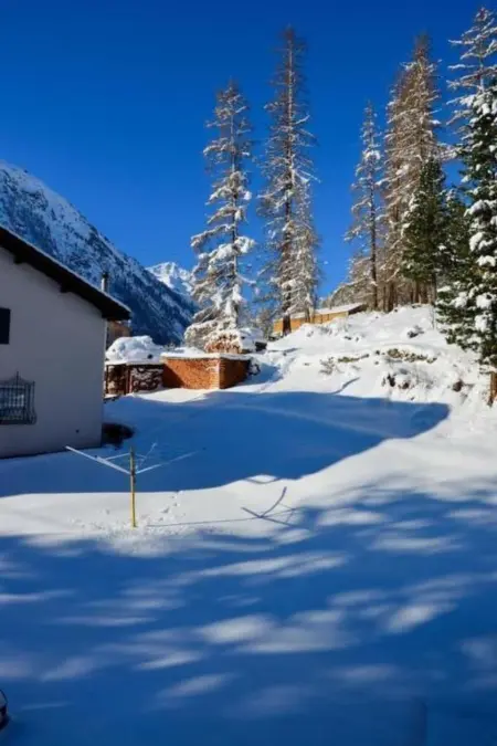Bijou bei Stazerwald, Appartement 4 personnes à Pontresina - Photo 17