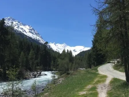 Chesa Auricula, Appartement 2 personnes à Pontresina - Photo 27
