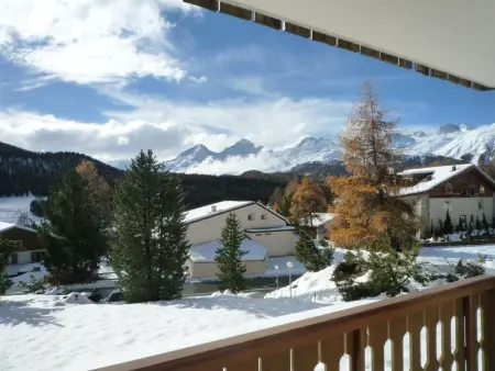 Chesa Azalea 3 klein, Appartement 2 personnes à Pontresina - Photo 13