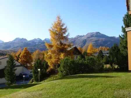 Chesa Azalea 3 klein, Appartement 2 personnes à Pontresina - Photo 16