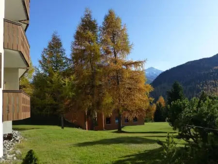 Chesa Azalea 3 klein, Appartement 2 personnes à Pontresina - Photo 18