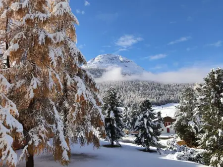 Chesa Azalea 3 klein, Appartement 2 personnes à Pontresina - Photo 24