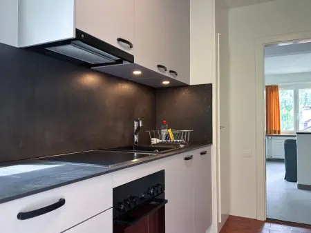 Chesa Viola, Appartement 6 personnes à Pontresina - Photo 10