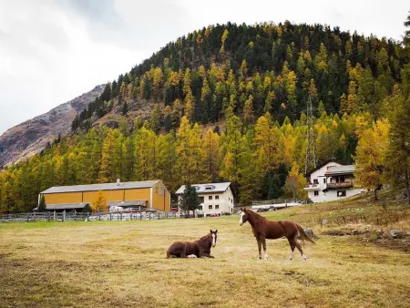 Chesa Formel - Stalla Engiadina, Appartement 8 personnes à Pontresina - Photo 1