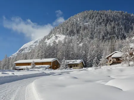 Chesa Formel - Stalla Engiadina, Appartement 8 personnes à Pontresina - Photo 2