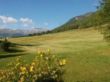 Chesa Auricula, Appartement 4 personnes à Pontresina - Photo 12