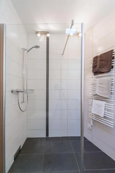 Chesa La Furia Dach Whg 45m2, Appartement 2 personnes à Pontresina - Photo 9