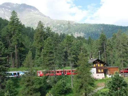 Chesa La Furia Dach Whg 45m2, Appartement 2 personnes à Pontresina - Photo 17