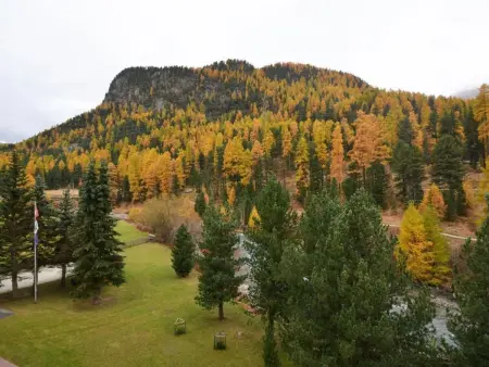 Chesa La Furia Dach Whg 45m2, Appartement 2 personnes à Pontresina - Photo 20