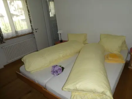 Carina 4, Appartement 6 personnes à Celerina - Photo 18