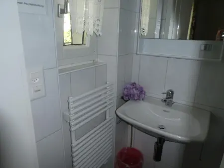 Carina 4, Appartement 6 personnes à Celerina - Photo 19