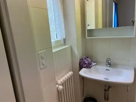 Carina 7, Appartement 6 personnes à Celerina - Photo 10