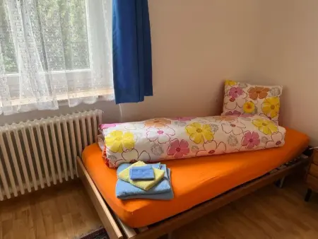 Carina 7, Appartement 6 personnes à Celerina - Photo 21