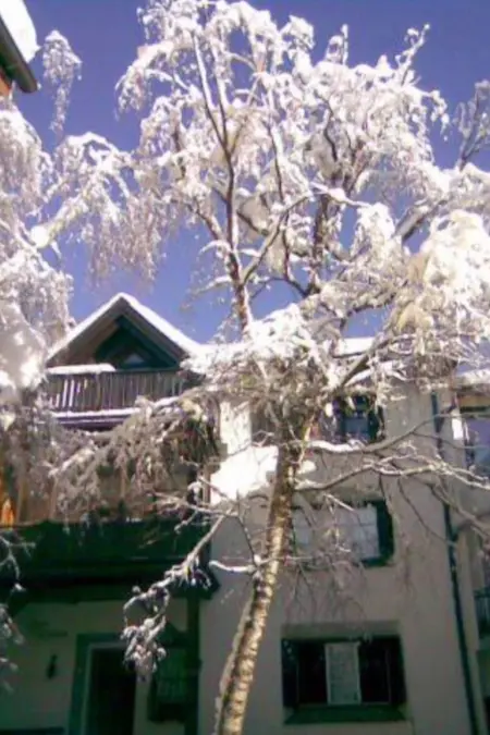 Chesa Maura, Appartement 4 personnes à Celerina - Photo 19