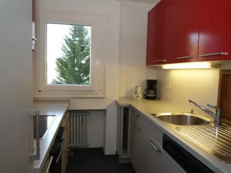 Residenza Lagrev, Appartement 4 personnes à Sils Maria - Photo 7