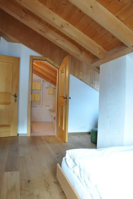 Chesa Sunasain V11, Appartement 4 personnes à Sils Maria - Photo 13