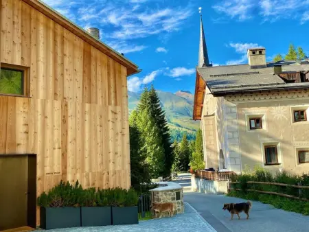 Chesa Ladina, Appartement 4 personnes à La Punt Chamues ch - Photo 26