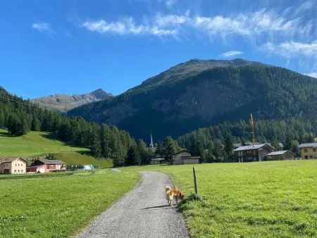 Chesa Ladina, Appartement 4 personnes à La Punt Chamues ch - Photo 27