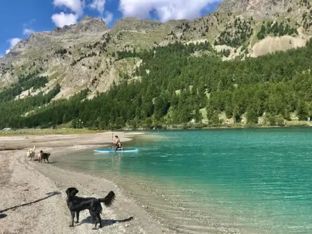 Chesa Ladina, Appartement 4 personnes à La Punt Chamues ch - Photo 31
