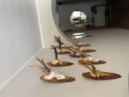 Chesa Ladina, Appartement 4 personnes à La Punt Chamues ch - Photo 66