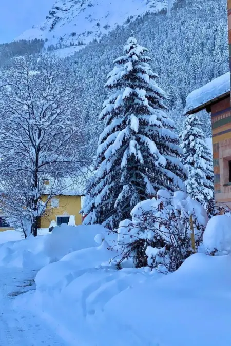 Chesa Ladina, Appartement 4 personnes à La Punt Chamues ch - Photo 69