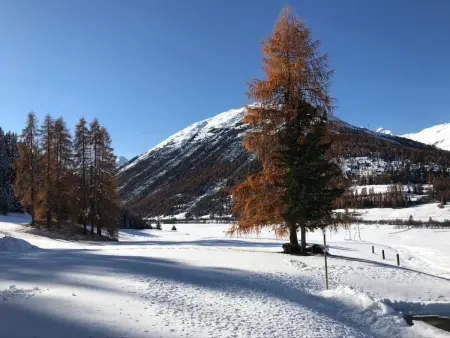 Engadin 2 1/2 Zi-Wg, Appartement 3 personnes à La Punt Chamues ch - Photo 7