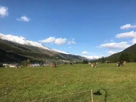 Engadin 2 1/2 Zi-Wg, Appartement 3 personnes à La Punt Chamues ch - Photo 12