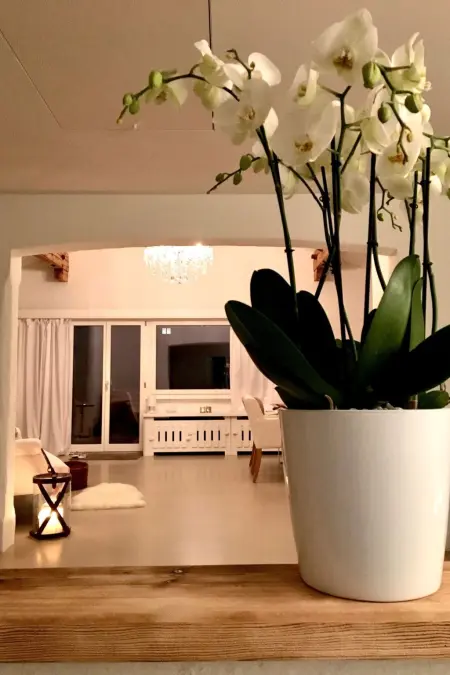 Alpenchic SpycherHus, Appartement 3 personnes à Scuol - Photo 19