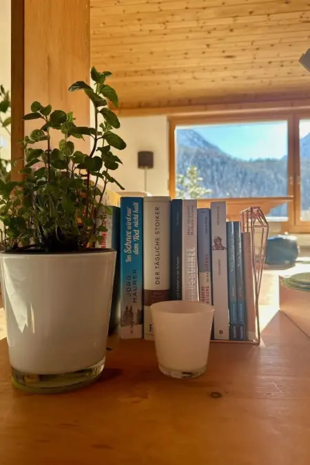 Chasa Stefania, Maison 8 personnes à Scuol - Photo 22