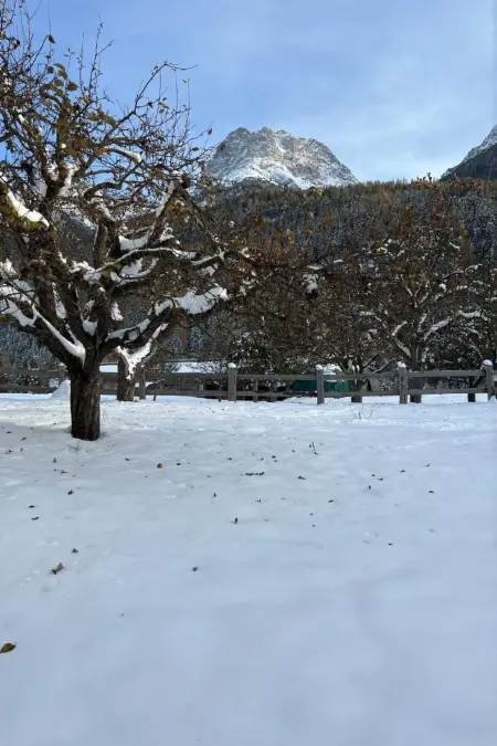 Chasa Stefania, Maison 8 personnes à Scuol - Photo 61