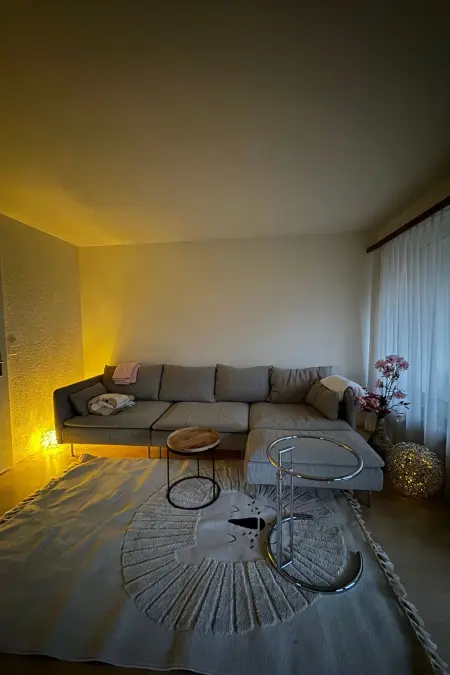 Silent Escape, Maison 4 personnes à Wettswil - Photo 21