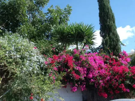 Iptamena  mit Blick auf das Wasser, Maison 6 personnes à Peyia - Photo 7