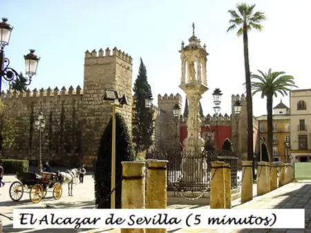 Wohnung mit Terrasse, Nähe Kathedrale von Sevilla - Photo 17